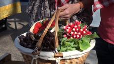 Panier au marché