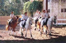 Stables - Le Ménèque